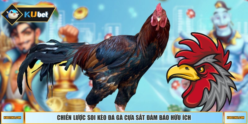 Chiến lược soi kèo đá gà cựa sắt đảm bảo hữu ích
