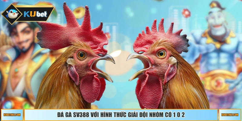 Đá gà SV388 với hình thức giải đội nhóm có 1 0 2