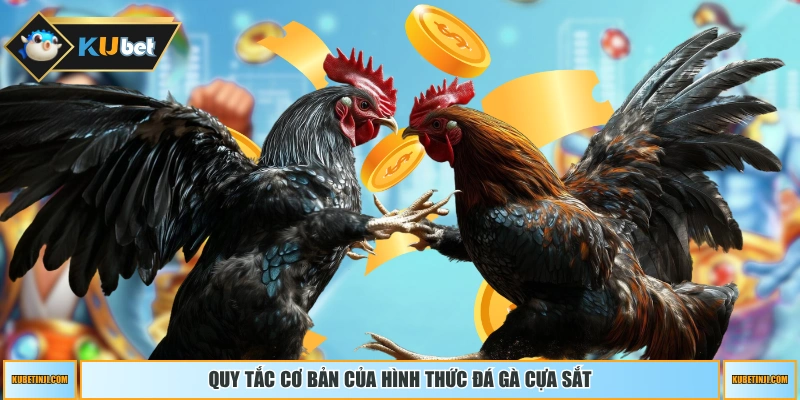 Quy tắc cơ bản của hình thức đá gà cựa sắt