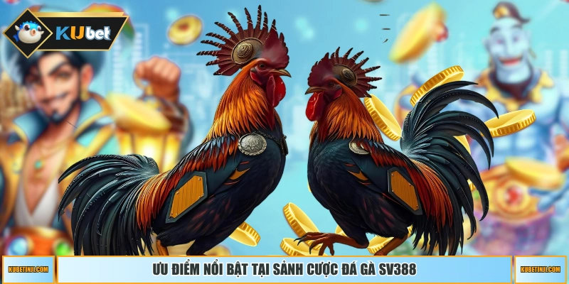 Ưu điểm nổi bật tại sảnh cược đá gà SV388